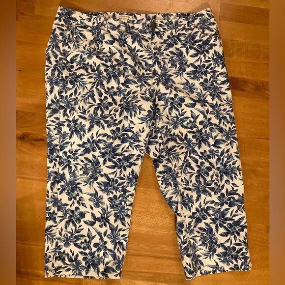 Coldwater Creek Capri Pants - Picture 1 of 11